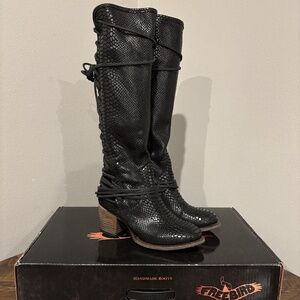 Freebird Coal Black Snake Knee-High Leather Boots